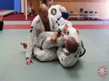 Rolling Sessions 2 - 50/50 Positional Sparring with Xande and Rafael Lovato Jr